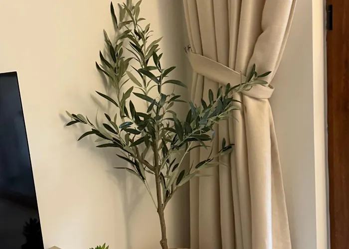 Boho Cascadas Family